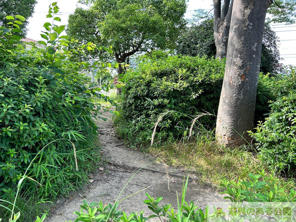 もみの木公園の探検コース