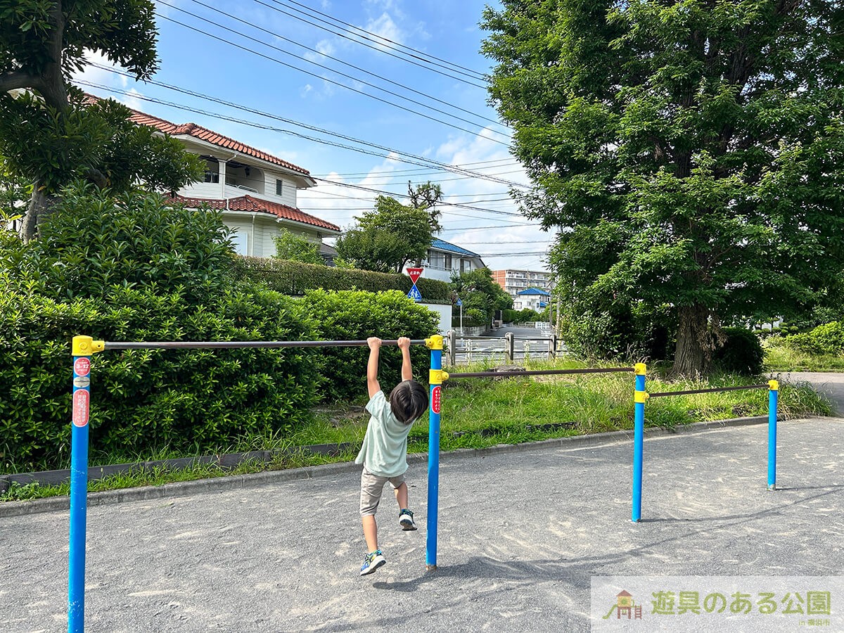 もみの木公園の鉄棒2